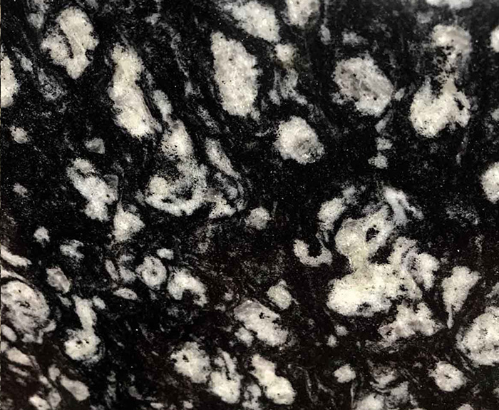 Coin Black